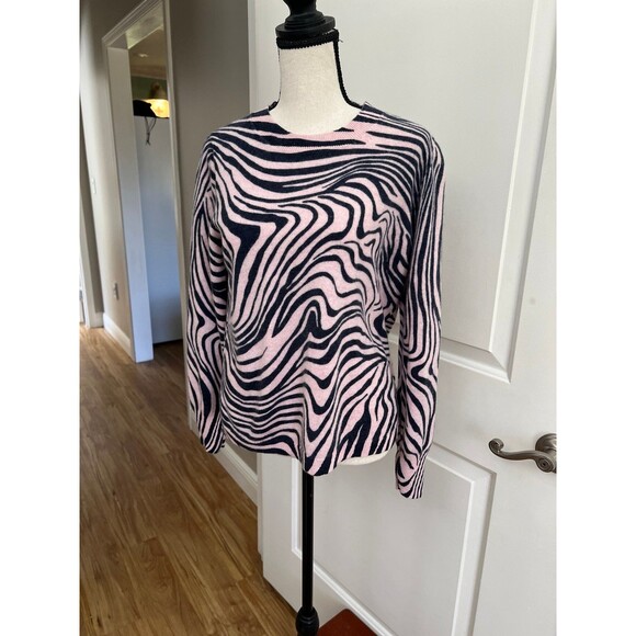 J Crew Sweater Womens Large pink/blue100% Cashmere Striped Animal Print - Picture 1 of 4